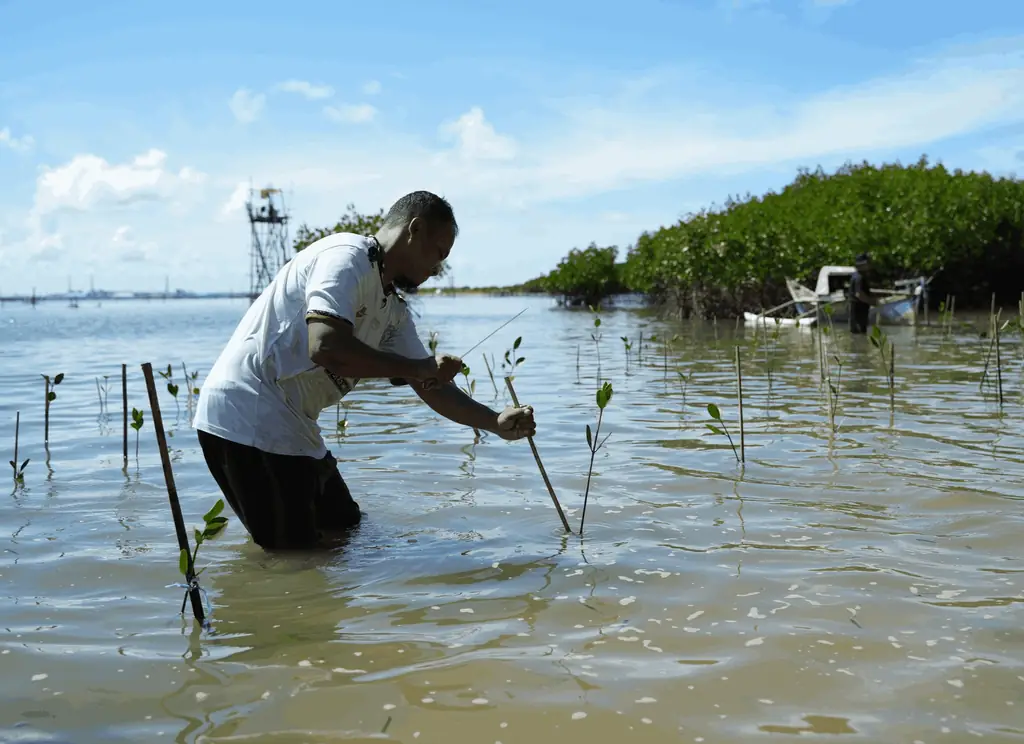 Telkom Indonesia Konsisten Lindungi Lingkungan: Dari Darat ke Laut, Demi Kehidupan Berlanjut